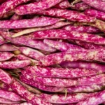 Haricots demi-sec Borlotto / 500 g