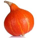 Courge potimarron de 1.1 à 1.3 kg / la pièce