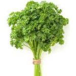 Persil frisé / la botte